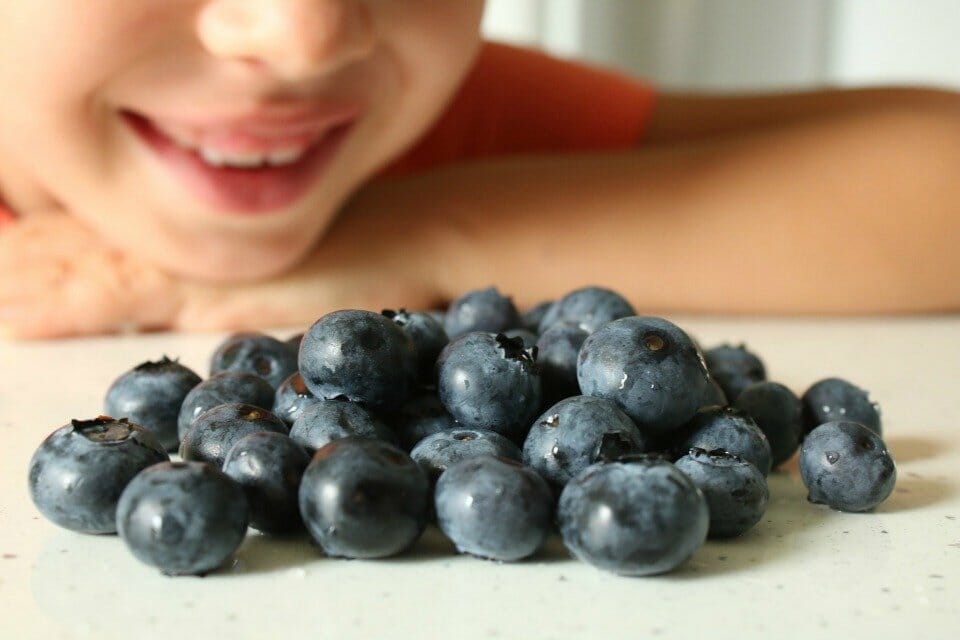 Blueberries could be the secret to helping your child perform well in their exams!