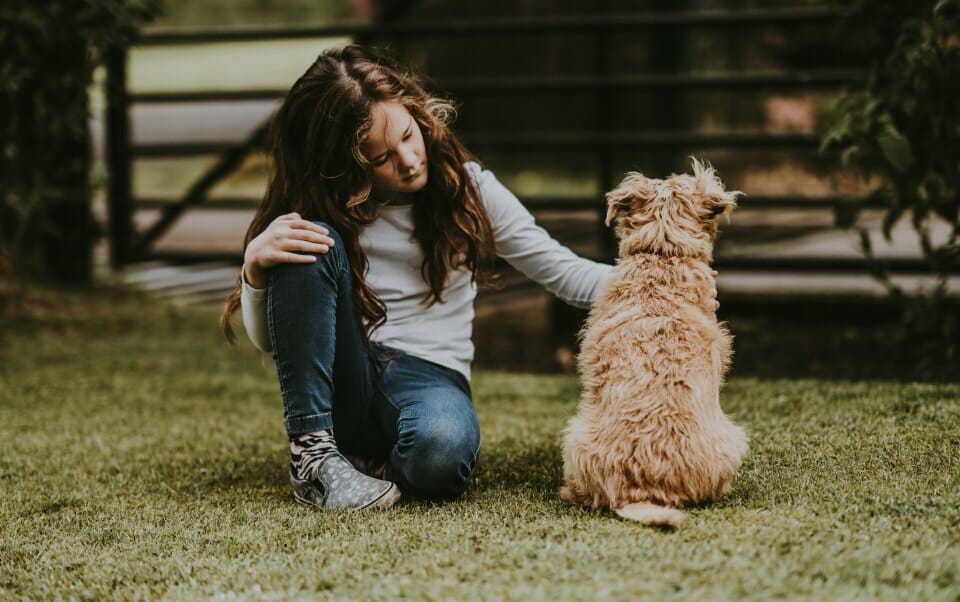 Research finds owning a dog is good for your health - and will help you live longer