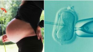 Moms who fall pregnant via IVF are 50% more likely to have gestational diabetes, claims study